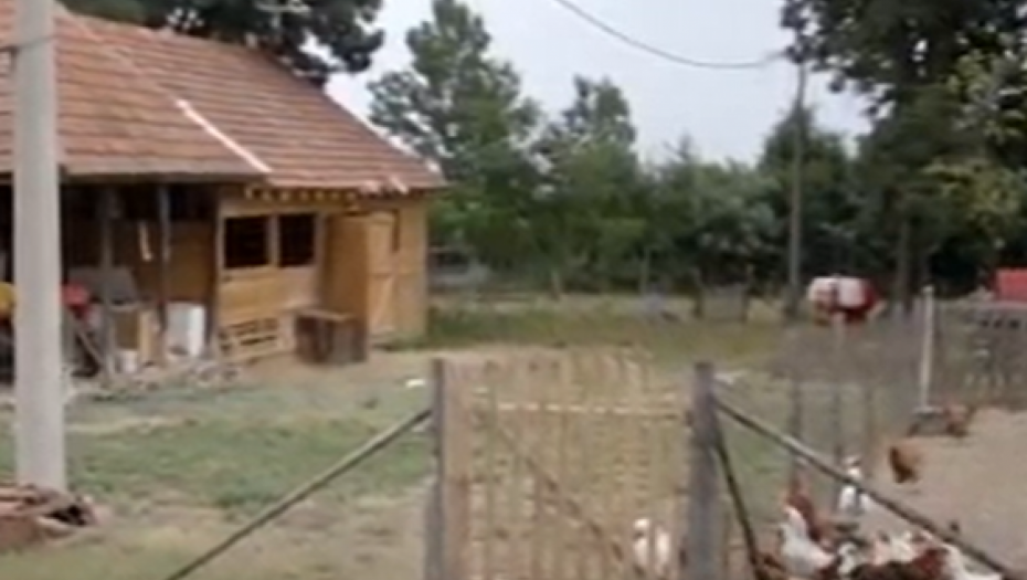 DETE (7) PALO SA ŠTALE Užas se desio u selu Vranić