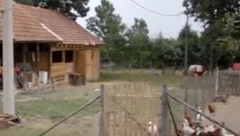 DETE (7) PALO SA ŠTALE Užas se desio u selu Vranić