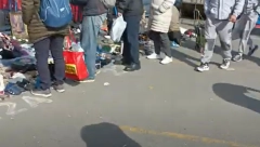NA BUVLJAKU JE MEĐU GVOŽĐEM NAŠAO KOMAD VREDAN 30 MILIONA EVRA Sledio se kad je shvatio šta mu je u rukama