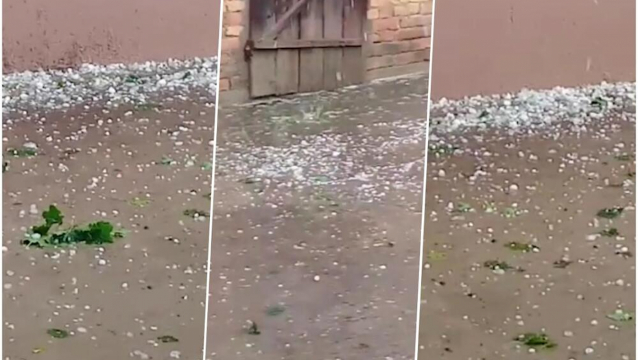 NEVREME POGODILO VOJVODINU:  Pogledajte kako je jak pljusak i grad uništio voćnjake u Vojvodini! (FOTO)