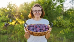 ČUVA KOSTI I SNIŽAVA HOLESTEROL Jela je 8 šljiva dnevno, dva meseca, kad je uradila krvnu sliku nije mogla da veruje