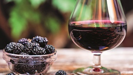 SPOJ ODLIČNOG PIĆA I SRPSKE KULTURE Francuski bračni par već 15 godina razvija srpsko vino
