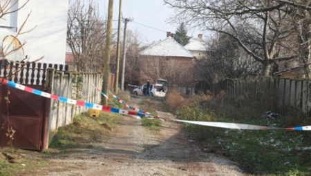 BRUTALNO UBISTVO U KALUĐERICI Majci presudio sekirom, jer je tvrdio da ga je omađijala, a njegov otac je prethodno učinio nešto užasno!