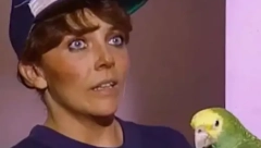 SRPSKA PUBLIKA JE OBOŽAVALA DA GLEDA "DIVLJU RUŽU" 90-TIH  Smatraju je začetnicom telenovela, a ovako danas izgleda