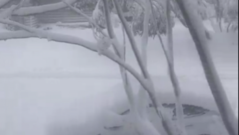LJUDI, ŠTA SE OVO DEŠAVA?  U Australiji počeo da pada sneg! (FOTO)