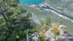 LOKALIZOVAN POŽAR NA TARI! Petorica vatrogasaca se bori sa vatrenom stihijom, grom napravio havariju!