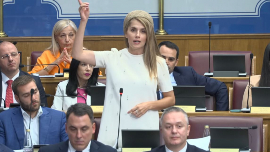 U SRED SKUPŠTINE OMALOVAŽAVANJE BOŠNJAKA I SRBA! Vuković Kuč o Turcima i bulama i velikosrpskom nacionalšovinističkom čudovištu...