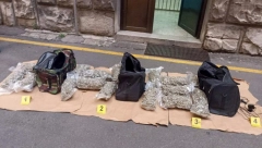 SEDMORO LJUDI UHAPŠENO: Policija otkrila laboratoriju za uzgoj marihuane u Topoli!