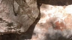 NIKO NEMA POJMA KAKVO JE OVO STVORENJE Šetala šumom pa naletela na misterioznu životinju, izbezumila se od šoka! (VIDEO)