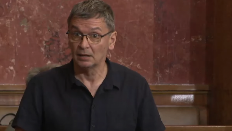 POSEKLI SU DECI 461 STABLO! "Ćutin kum Miša Ćuskija rušio šta je hteo, pa gradio luksuzni kompleks!"