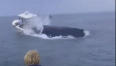 KIT POTOPIO BROD Užas na otvorenom moru (VIDEO)