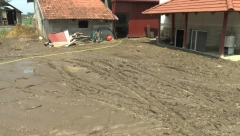 PODRUMI POTOPLJENI, KUĆE ODSEČENE OD SVETA! U Arilju zbog teškog nevremena proglašena vanredna situacija! (FOTO)