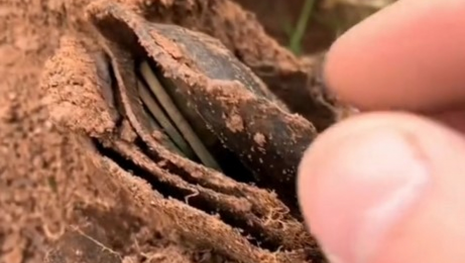 IZAŠAO NA LIVADU SA DETEKTOROM ZA METAL Ono što je našao u blatnjavoj kaljuzi će mu promeniti život iz korena! (VIDEO)
