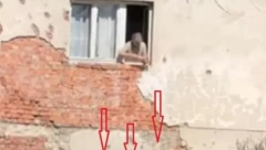 BOSANCU SE SMEJE CEO BALKAN!  Kamera uhvatila šta radi, pašćete sa stolice kada budete videli snimak (VIDEO)