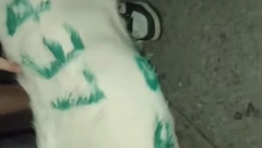 UŽAS U JAGODINI Maloletnici uništavali imovinu u Gimnazijskom parku, pa se iživljavali nad psom (VIDEO)