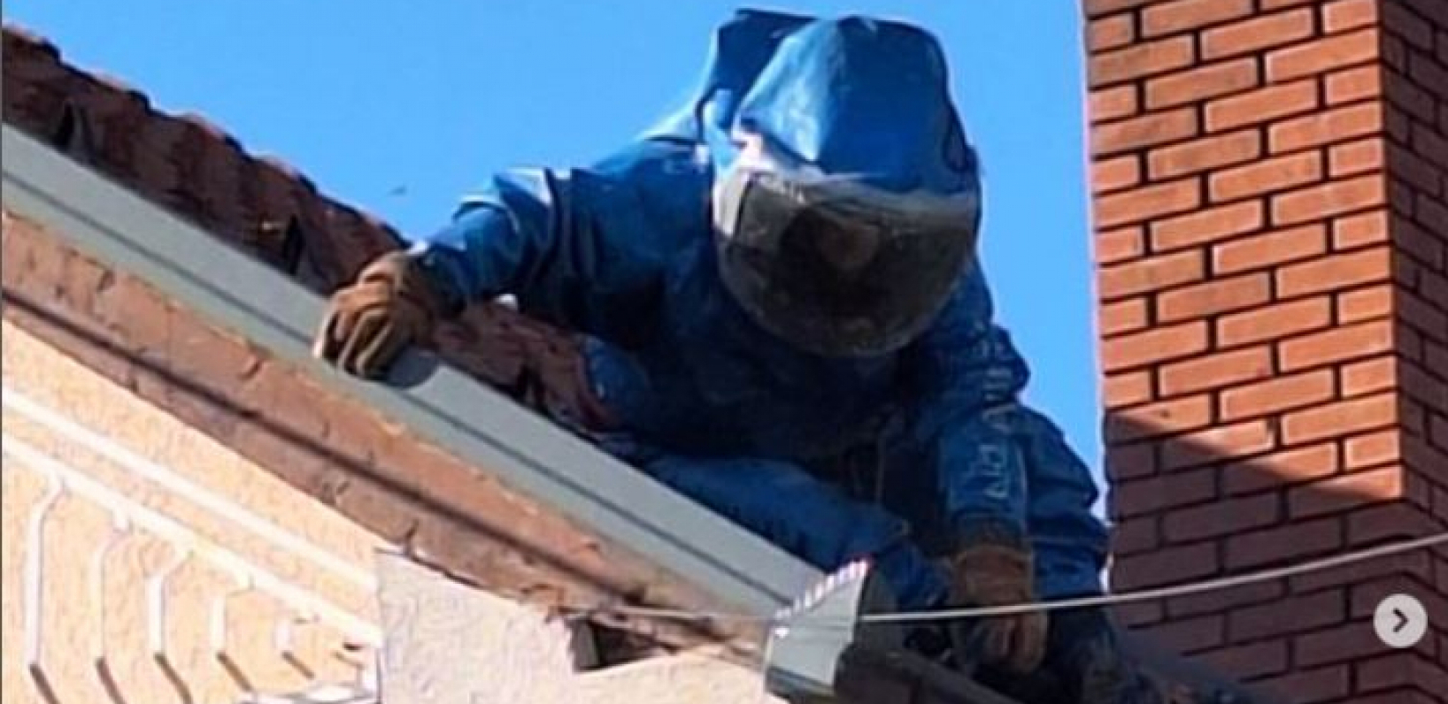 "NAŠLI SMO LEGLO STRŠLJENA VELIČINE BURETA!" Vladica upozorava da najezda tek sledi, a ovo nikako ne smemo da radimo ako ih vidimo