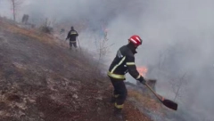I DALJE SE GASI POŽAR NA VIDLIČU! Stotine hektara zemlje GORI, vanredna situacija u Pirotu i Dimitrovgradu!