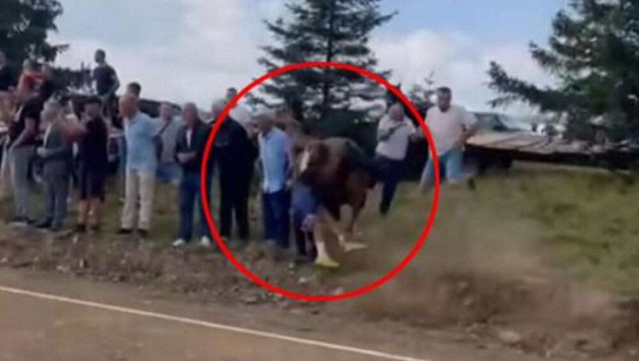 UZNEMIRUJUĆI SNIMAK! Pogledajte momenat kad je konj uleteo u publiku u Sandžaku: Užas na vašaru, povređena i deca (FOTO + VIDEO)