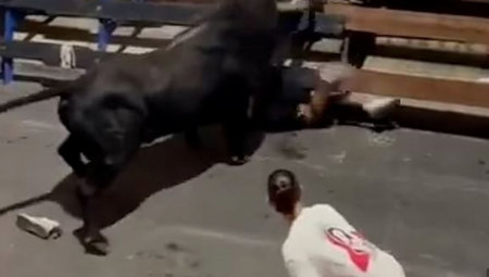 HOROR SNIMAK IZ ŠPANIJE! Bik bacio mladića u vazduh pa ga udarao dok je bespomoćno ležao na zemlji, gledaoci pokušavali da ga spasu (VIDEO)