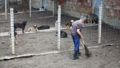 UHAPŠENI UZGAJIVAČI PASA IZ OBRENOVCA Ubijali i mučili pse - policija spasila dobermane, šarplanince...