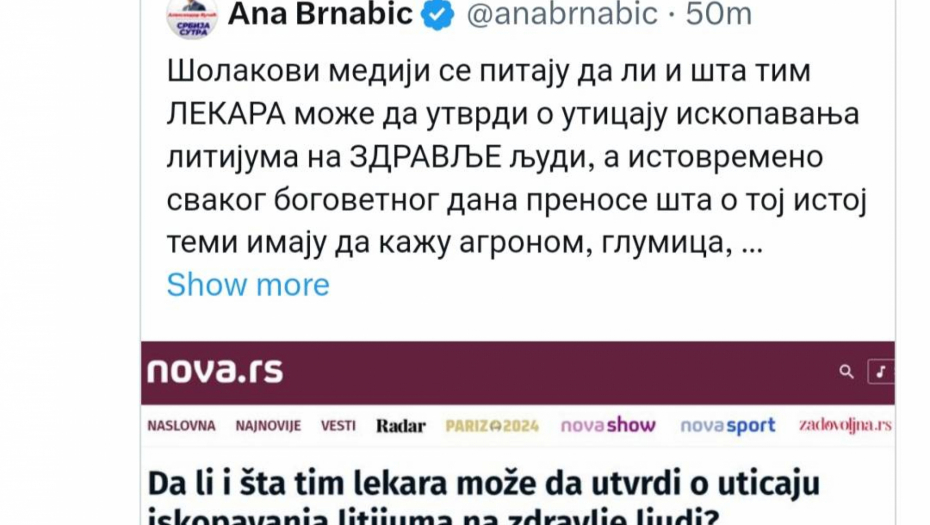 OVO JE PRAVO LICE ANTI-LITIJUMSKIH AKTIVISTA Gnusne pretnje na račun Ane Brnabić - baš lepu Srbiju obećavaju! (FOTO)