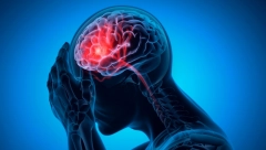 DA VAM MOZAK BOLJE RADI Samo u vodu dodajte ova tri sastojka, služe kao prevencija Alchajmerove bolesti