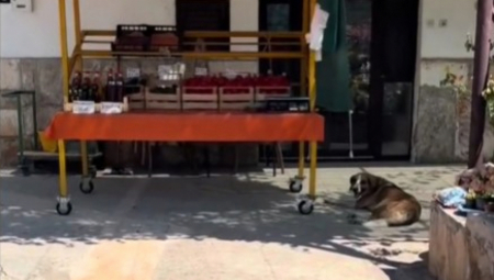 TIKTOKERKA JASNA ZBLANUTA PRIZOROM U HRVATSKOJ "On je ovde svake godine, dakle – računica postoji" (VIDEO)