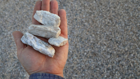 "PITANJE KAKO JE OSNOVNU ŠKOLU ZAVŠRIO, NAVUKLI GA DA ISPADNE MAGARE" Inženjer “pokopao” opozicionara zbog teorija zavere koje širi! (FOTO)