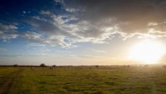 ZA SAMO 10.000 EVRA, IMANJE KAKVO SE RETKO VIĐA Marija prodaje ogromnu kuću na 10 ari placa
