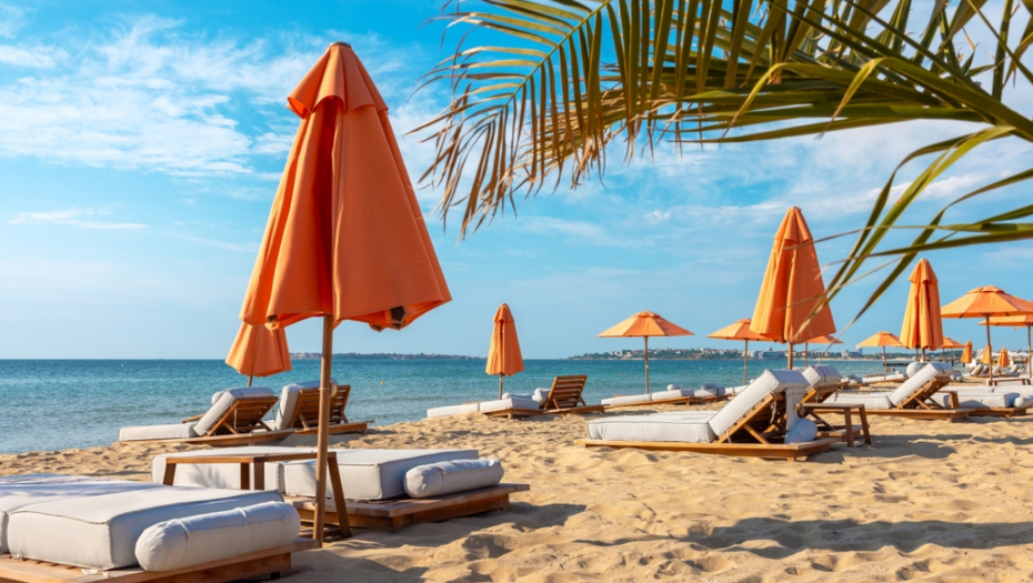 VIC DANA Pobegla dva lava iz cirkusa i hodaju plažom...