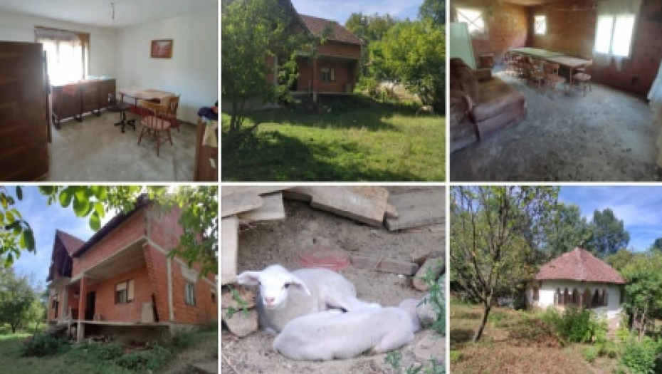 ALEKSANDAR PRODAJE DVE KUĆE PO 182 I 44 KVADRATA ZA SAMO 6.000 EVRA Uz to ide i 26 ari placa, ljudi ne veruju kad ovo vide