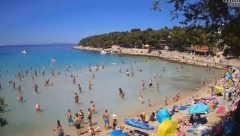 PANIKA MEĐU TURISTIMA Napuštaju Hrvatsku zbog neobičnih i bolnih fleka – Da li je u pitanju lišmanioza?