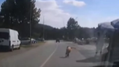 TATA GLEDAO KAKO MU DETE IZLEĆE NA MAGISTRALU! Šok snimak sa Divčibara zapalio mreže, vozač sprečio TRAGEDIJU! (VIDEO)