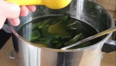 NEISKORIŠĆENO BLAGO Sok od smokvinog lista apsolutni je hit na društvenim mrežama (RECEPT)