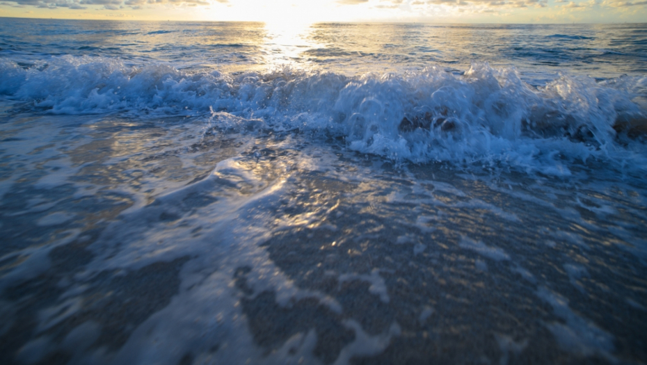UŽAS ISPOD POVRŠINE Ljudi nisu ni svesni šta se dešava u moru, "'ovo rastapa školjke i kosture'
