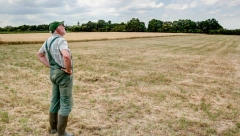 VEĆ JE SAD JASNO DA JE ŠTETA VELIKA Visoke temperature prave haos po Srbiji