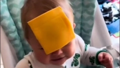 STARI TIKTOK TREND SE VRAĆA Bacanje sira na uplakane bebe – zabava ili neprimereno ponašanje? (VIDEO)