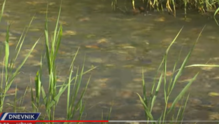 KRAJ! NEMA DALJE! OVO IMA SAMO KOD OPOZICIJE: Smeta im što je “mrtva reka” u Boru postala bistra i čista!