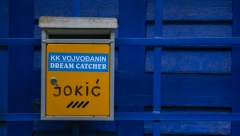 KOLIKO KOŠTAJU KONJI NIKOLE JOKIĆA? Cena je "prava sitnica", nećete verovati da životinja može toliko da košta