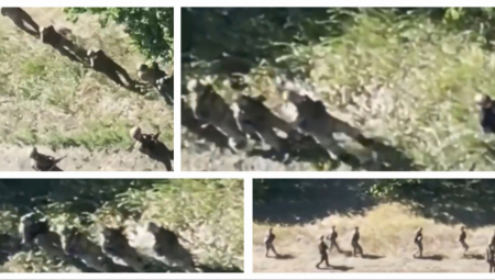 POGNUTE GLAVE KORAČAJU KA NEPRIJATELJU Predaja vojnika kod Kurska! (FOTO/VIDEO)