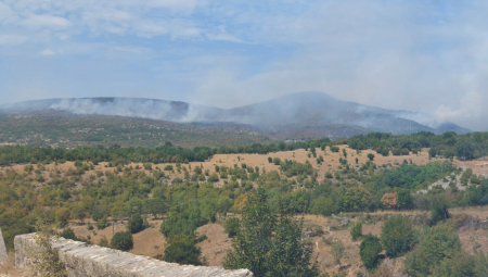 ZATRTI SVE SRPSKO Hrvatska sprema novi zakon, ukloniće sve grobove Srba?