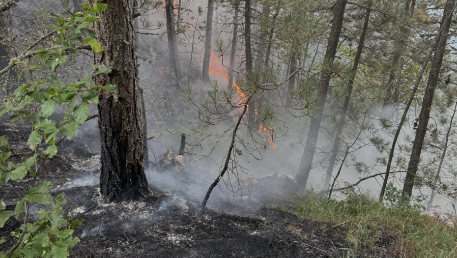IZVEO KRAVE NA ISPAŠU PO KIŠI, GROM GA UBIO Nesreća u Lukovu kod Vranja