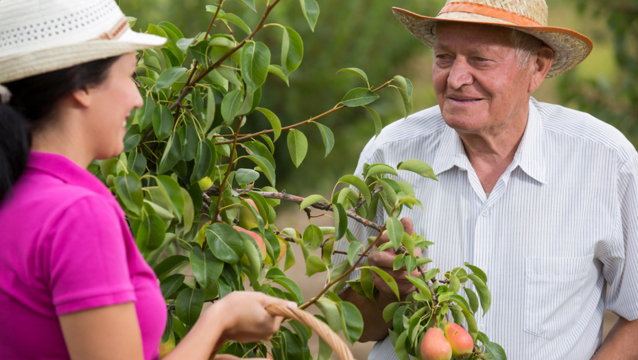 BIVŠEM MUŽU POSTALA MAĆEHA Ispovest Nišlijke koja se udala za svekra, "sramota me jer me čitavo selo ogovora"