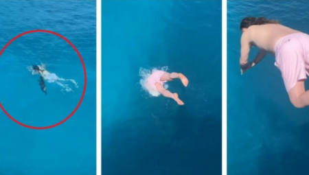 SA GLISERA SKOČIO PRAVO U LETNJU NOĆNU MORU Dojurila je iz dubine brzinom od 50 kilometara na sat (VIDEO)