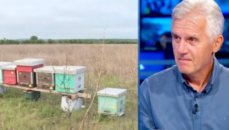 GLEDAJTE U DNO TEGLE Pčelar otkrio kako razlikovati pravi od lažnog meda, "naši ljudi vide ušećereni med i naprave grešku"