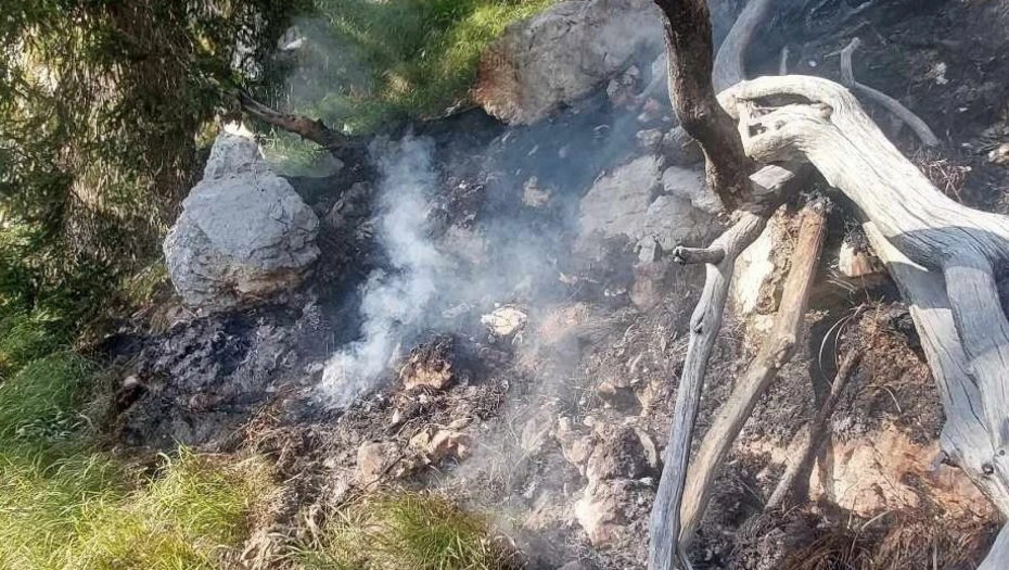 UGAŠEN ŠUMSKI POŽAR KOD BOHINJSKOG JEZERA! Sprečena katastrofa, plamen je pretio da se proširi (FOTO)