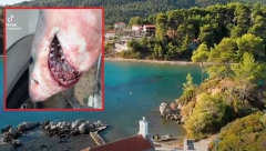 OPASNA NEMAN UHVAĆENA KOD GRČKE Tamo ima dosta Srba, scena je UŽASAVAJUĆA! (VIDEO)