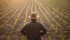 NAMENJENA POMOĆ I ZA RATARE Uskoro novac na računima poljoprivrednika - poznat je iznos