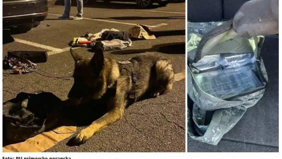 PET KILOGRAMA DROGE PRONAĐENO KOD SRPSKOG DRŽAVLJANINA  Pas hrvatske policije otkrio drogu