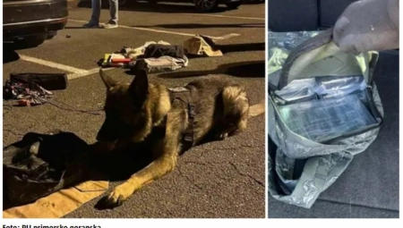 PET KILOGRAMA DROGE PRONAĐENO KOD SRPSKOG DRŽAVLJANINA  Pas hrvatske policije otkrio drogu